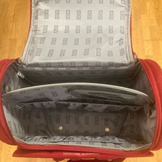 Neceser Adolfo Dominguez Rojo