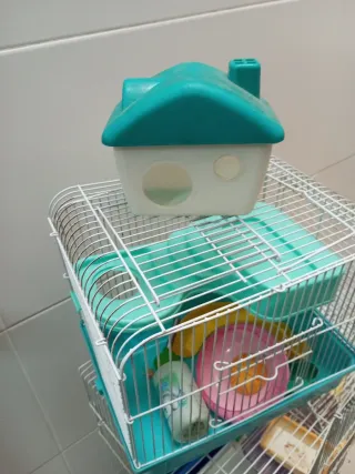 Jaula para hámster con accesorios