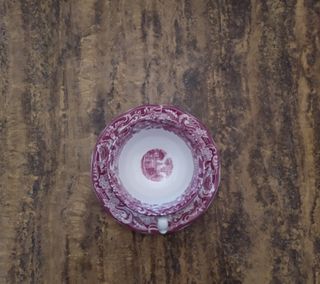 Taza de té y plato Cartuja