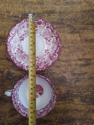 Taza de té y plato Cartuja