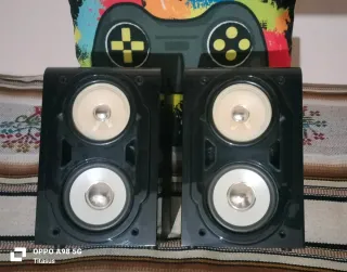 Altavoces pasivos negros