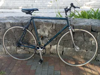 Bicicleta carretera clásica simple fixie, talla 56