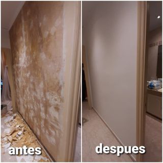 Albañil carpintero pintor manitas paleta reforma