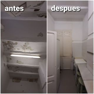 Albañil carpintero pintor manitas paleta reforma