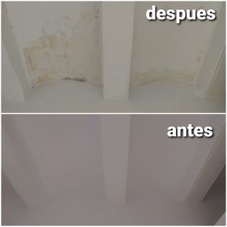 Albañil carpintero pintor manitas paleta reforma