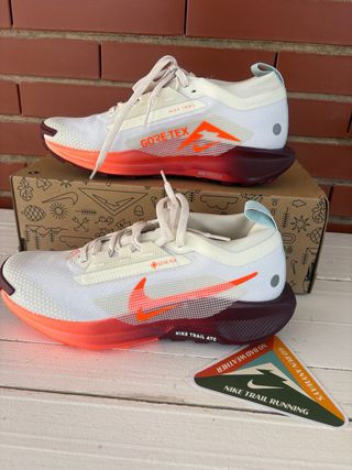 Zapatillas Nike Trail Reactx Pegasus 5 Gore-Tex