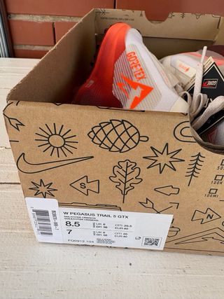 Zapatillas Nike Trail Reactx Pegasus 5 Gore-Tex