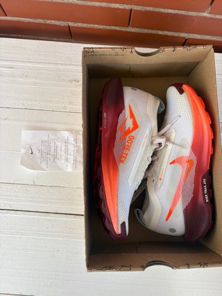 Zapatillas Nike Trail Reactx Pegasus 5 Gore-Tex