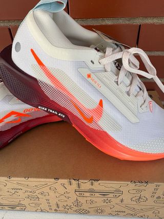 Zapatillas Nike Trail Reactx Pegasus 5 Gore-Tex