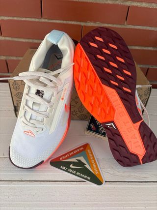 Zapatillas Nike Trail Reactx Pegasus 5 Gore-Tex