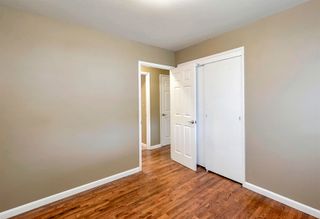 Pintor profesional Madrid