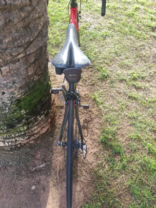 Colnago Ferrari CF4 Bicicleta de Carretera