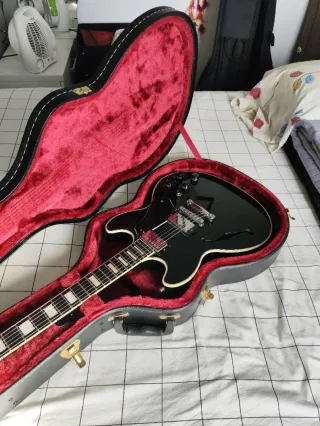 Estuche Ibanez Guitarra Semicaja