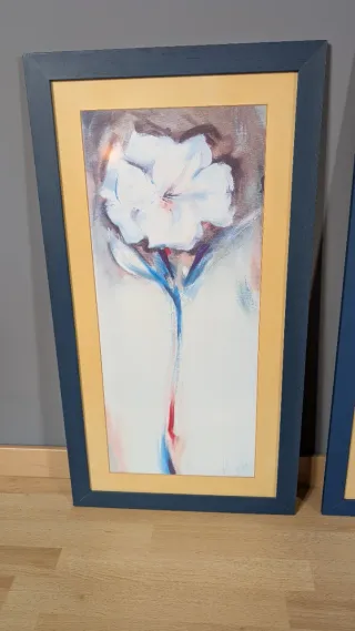 Set de 2 cuadros de flores