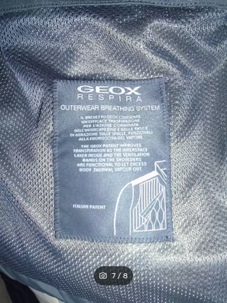 Chaquetón nieve Geox Gris Hombre