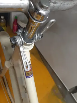 Bicicleta Clásica Bianchi Holandesa