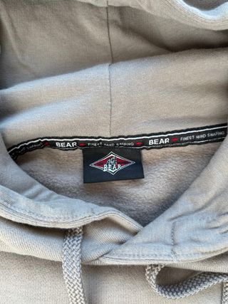 Felpa con cappuccio Bear Surfboard
