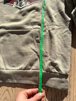 Felpa con cappuccio Bear Surfboard