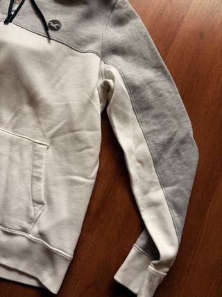 Sudadera Hollister