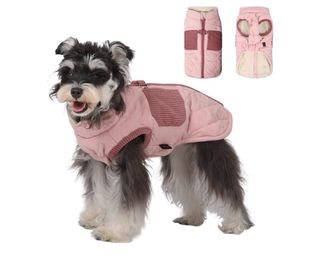 Cappotto caldo per cani