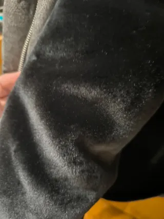 Cazadora Zara Gris con Capucha