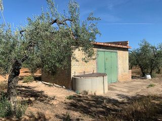 Terreno en venta en Bollullos de la Mitación