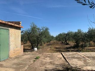 Terreno en venta en Bollullos de la Mitación