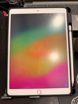 iPad Pro 10.5 con apple pencil