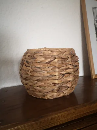 Cesto colgante para plantas