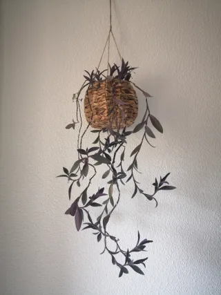 Cesto colgante para plantas