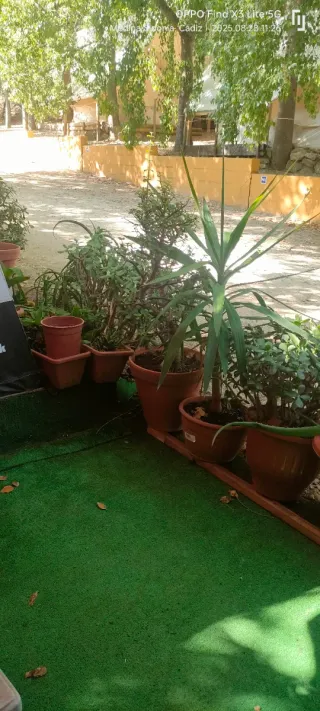 Casa móvil en camping