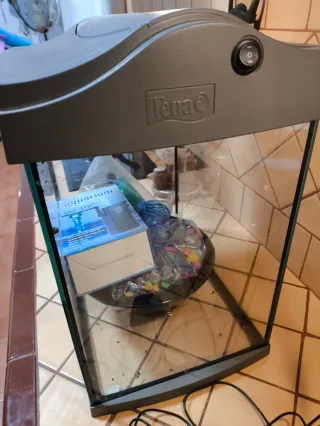 Acuario gris y transparente