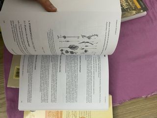 Temario oposiciones profesoresBiologia y geologia
