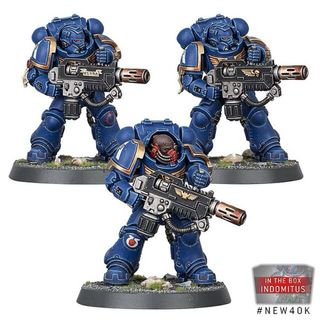 Figuras Resina W40K: Heavy Intercessors/Erradicato