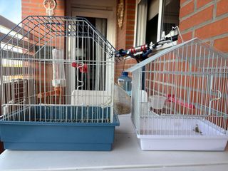 Jaulas para pájaros