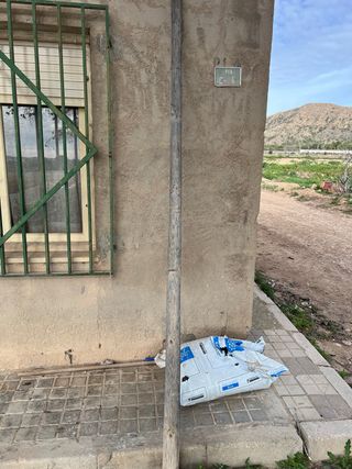 Palos de madera para parral