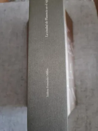 La ciudad de Plasencia en el siglo XVIII aspect...