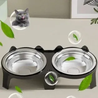 Cibo e Acqua Elevati per Gatti