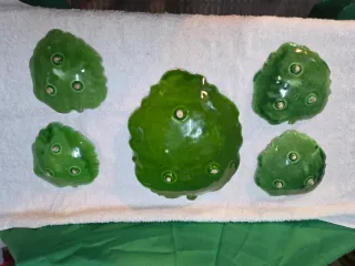 Platos decorativos hoja cerámica verde