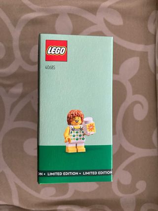 Lego 40685 Parco acquatico. Water park