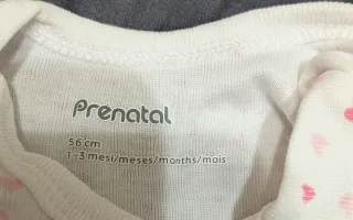 2 Body bimba TG.56 CM