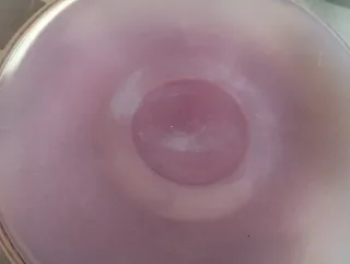 Juego de tazas de porcelana vintage