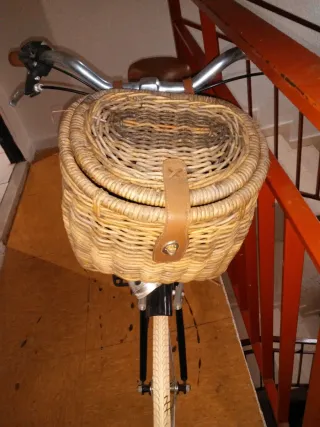 Bicicleta Paseo Ruedas 26