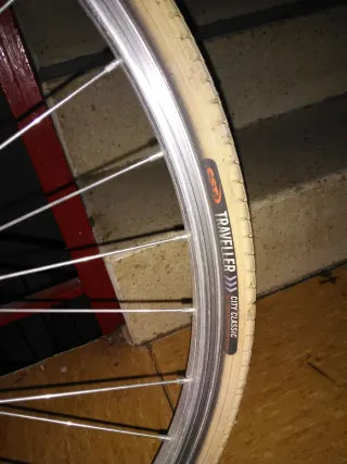 Bicicleta Paseo Ruedas 26