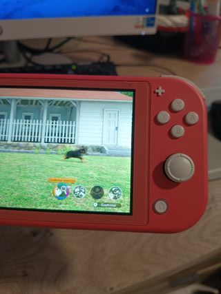 Nintendo Switch Lite Rosa + Gioco