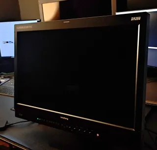 Monitor OLED Flanders Scientific DM250