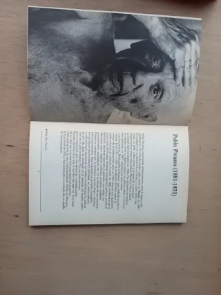 Libros Picasso Roland Penrose (2 tomos)