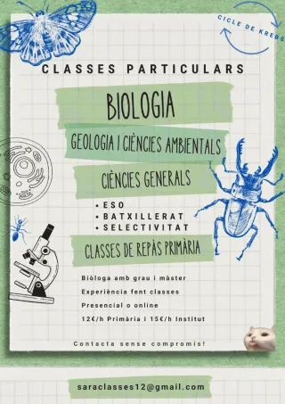 Classes particulars