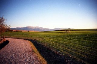 Cámara Analógica Ricoh L-20 35mm Vintage