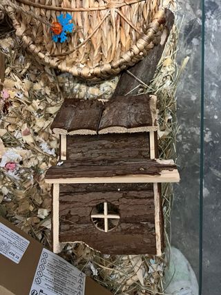 Casa para hámster y pequeños roedores